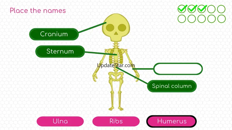 BodyQuest Premium: Anatomy 24.06.000