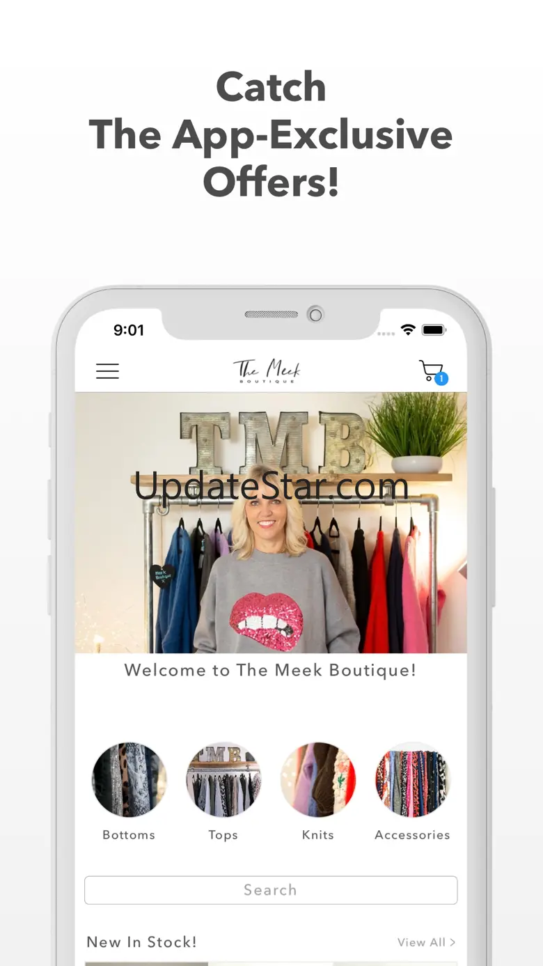 The Meek Boutique 2.1
