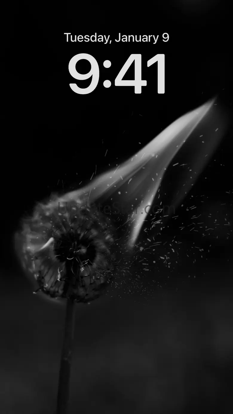 4K Black Wallpapers 2.0.0