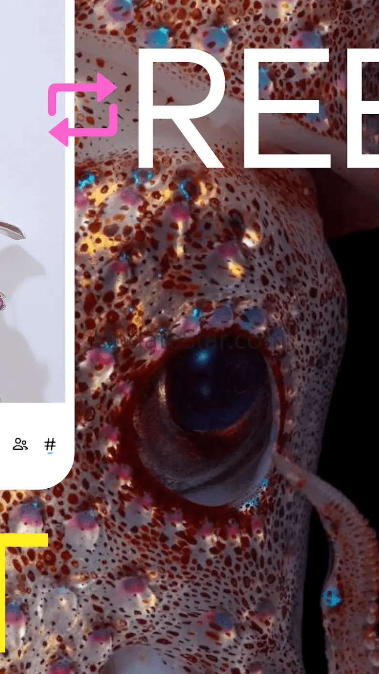 Tumblr—Fandom, Art, Chaos 37.6.0.110