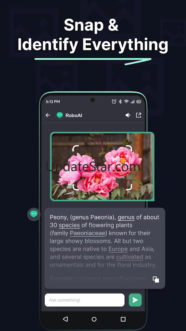 Chat & Ask with RoboAI Bot 13.0