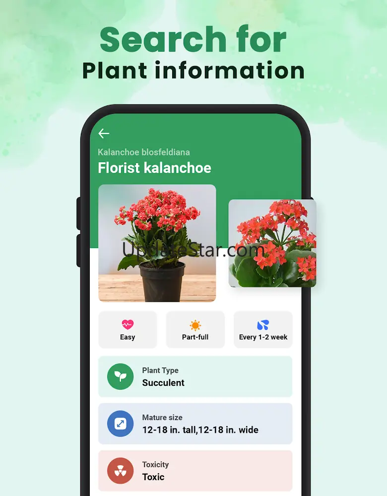 Plant Identifier - Iplant 1.0.9