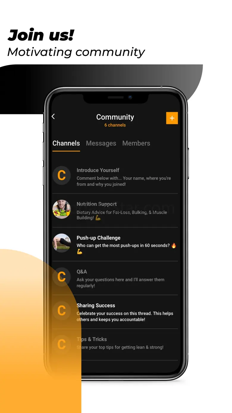 C-RayFit 3.9.5