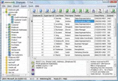 Database Viewer-Editor 11.0