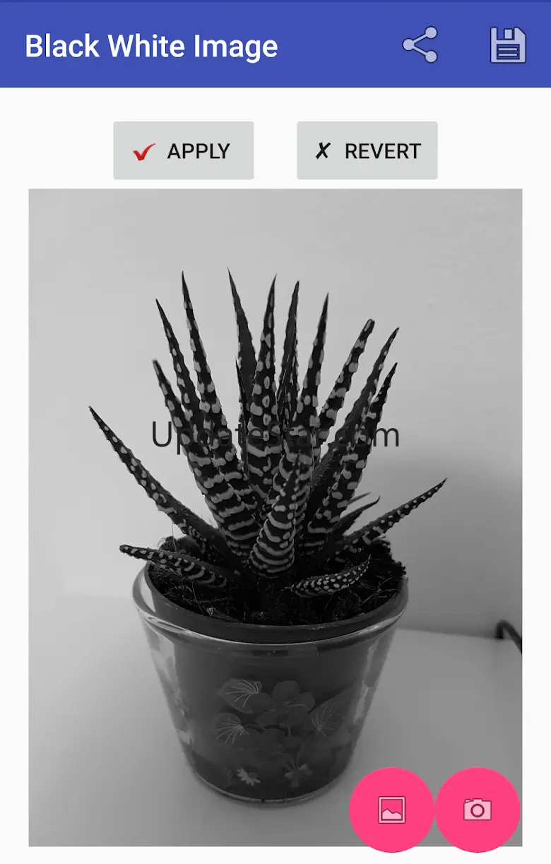 Black White Image 1.4