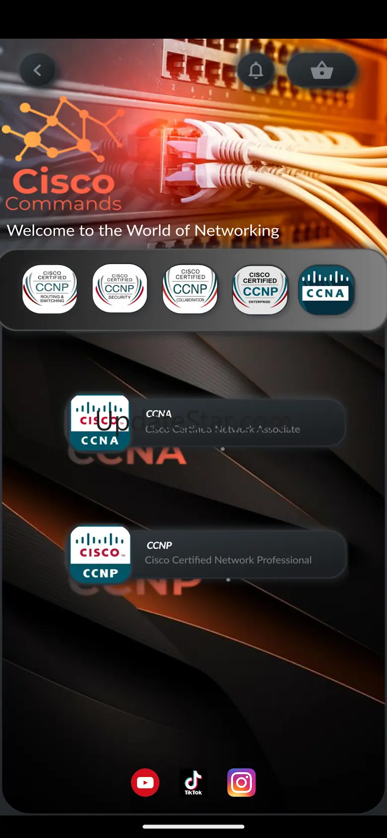 CCNA Commands