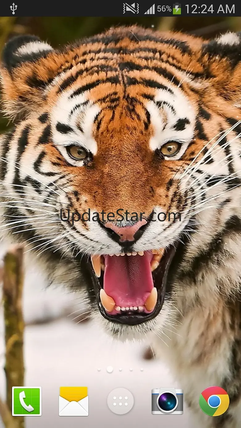 Tiger Live Wallpaper 100
