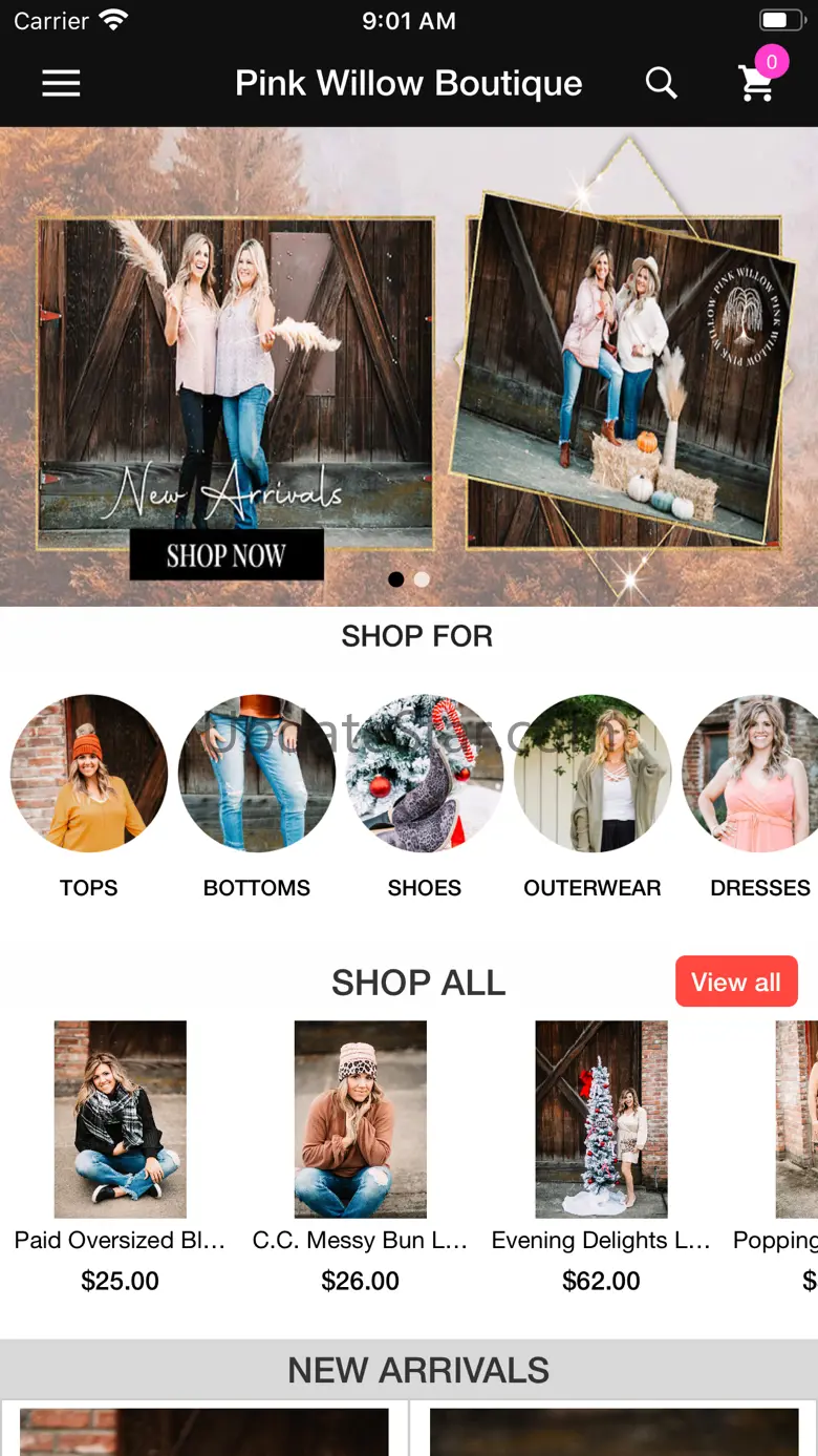 Pink Willow Boutique 1.2