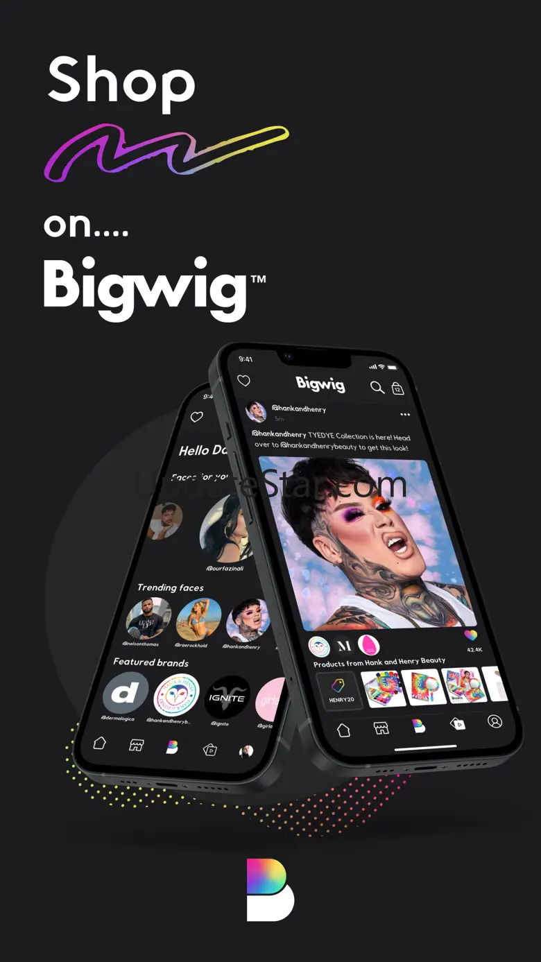 Bigwig 1.2.4
