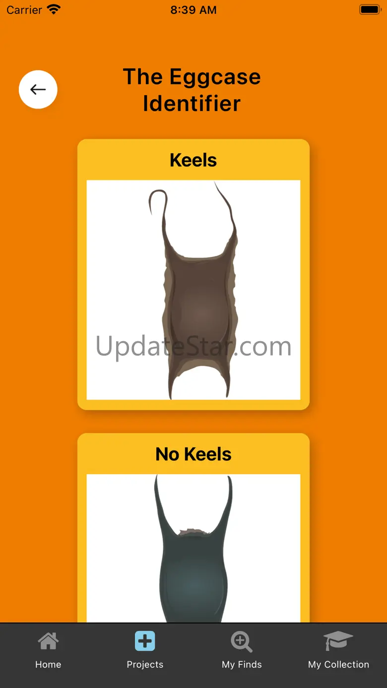 The Shark Trust 1.9.1