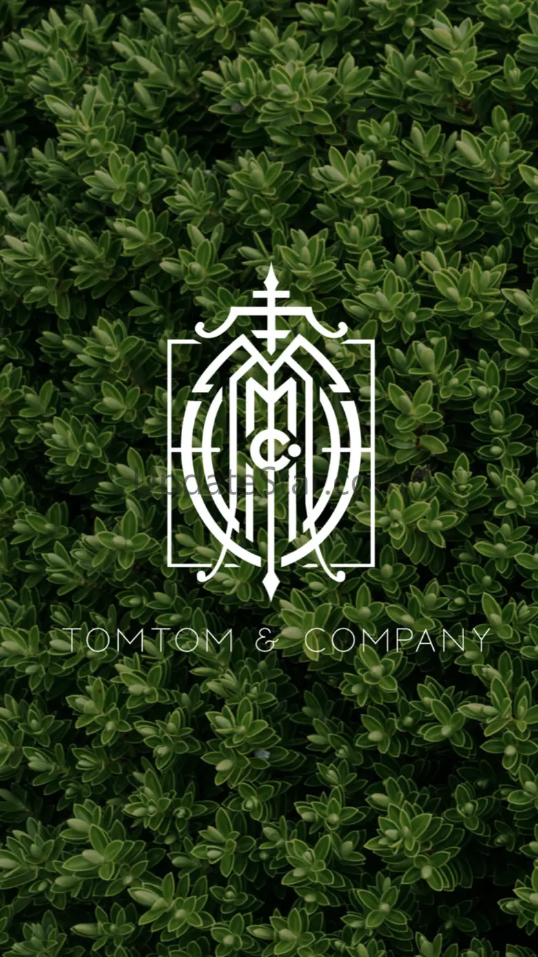 TomTom and Company 1.1