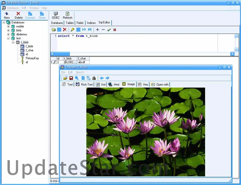 DBBlobEditor 5.6