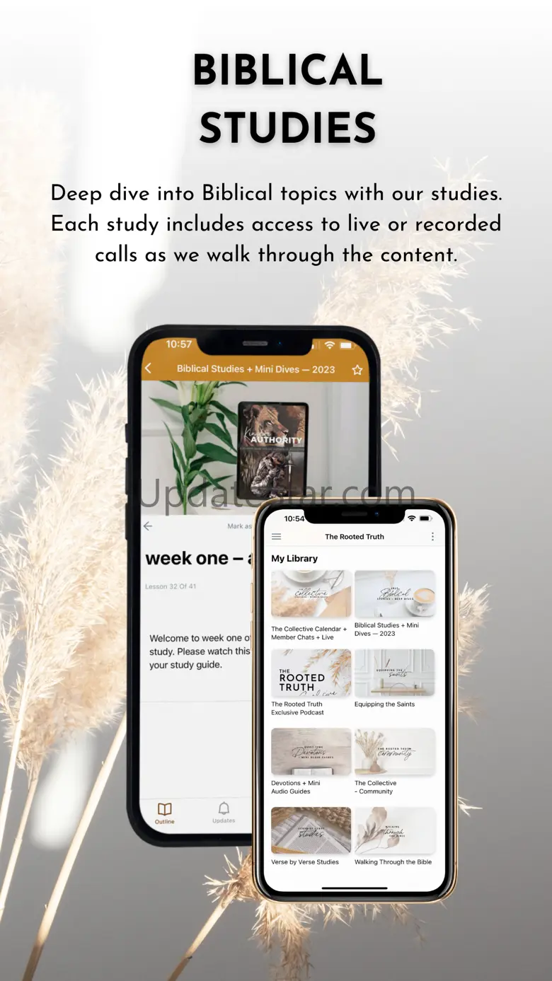 The Rooted Truth 18.0.0