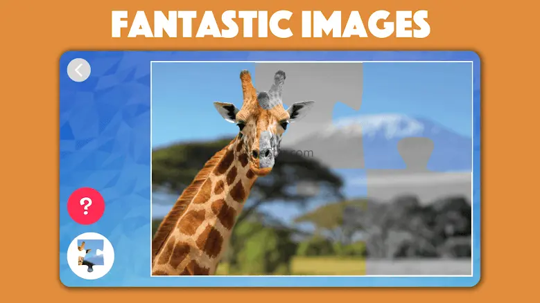 Kids Animal Jigsaw Puzzles
