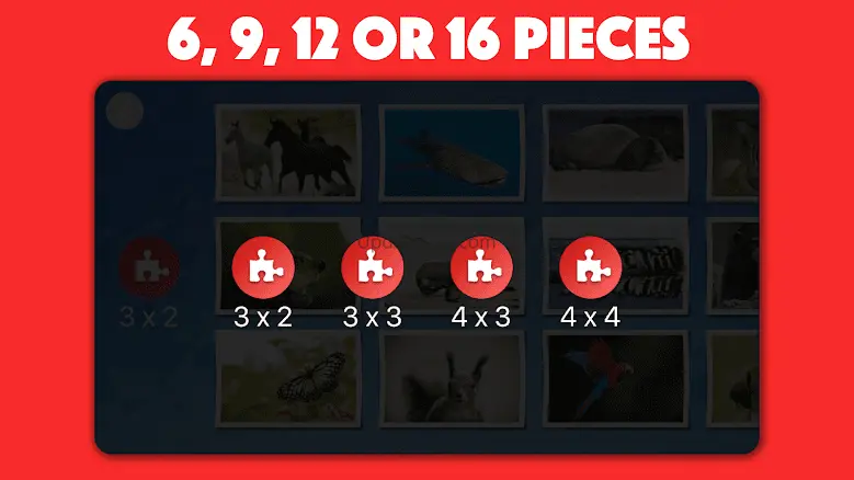 Kids Animal Jigsaw Puzzles