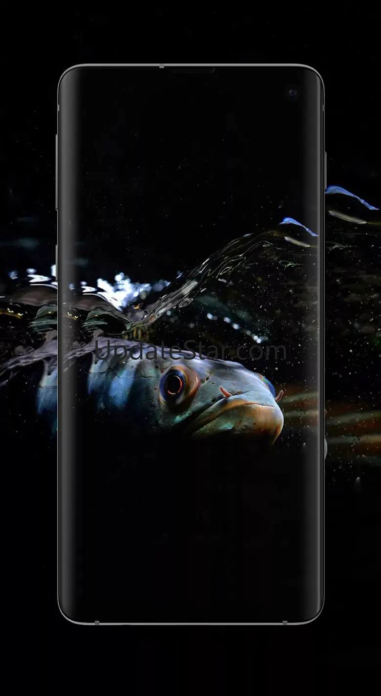 Channa Fish Wallpaper HD 1.1.1