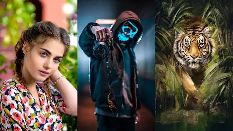 WallSense - HD, 4K Wallpapers 3.1.2