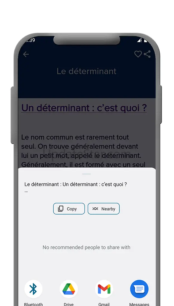 French Grammar 1.2