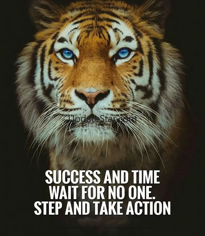 I will be Millionaire - Life C 3.0