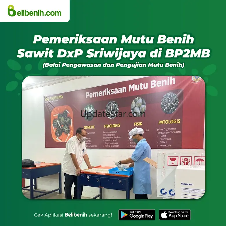 Belibenih.com 3.9.4