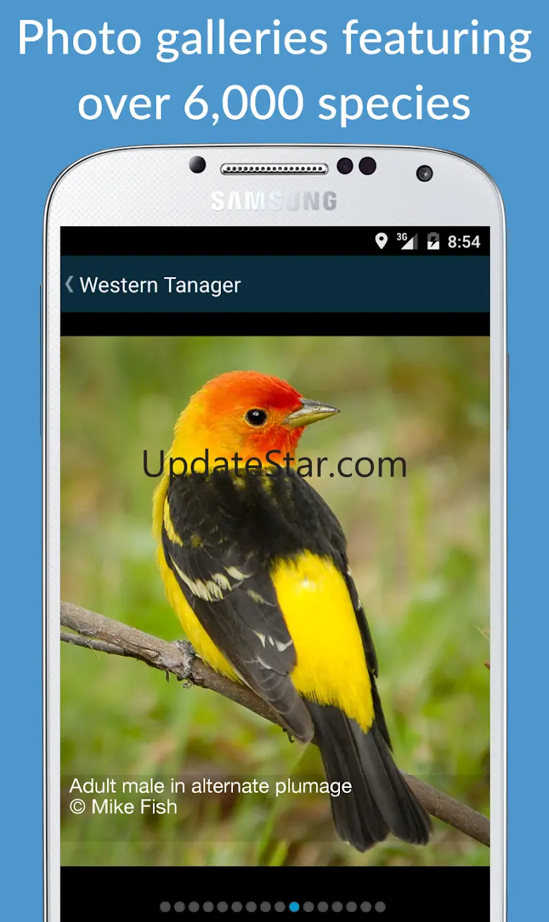 BirdsEye Bird Finding Guide 2.6.1