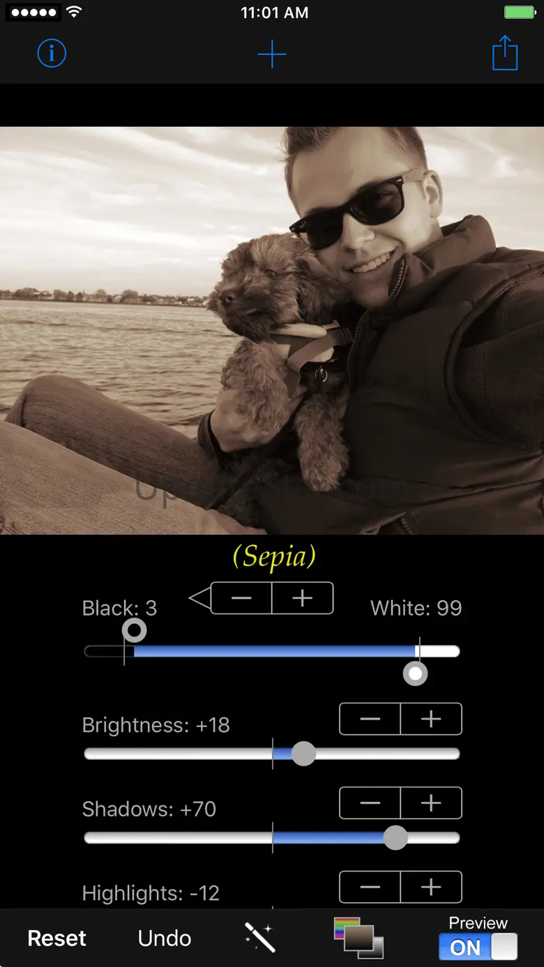 iCorrect® OneClick Color 3.1