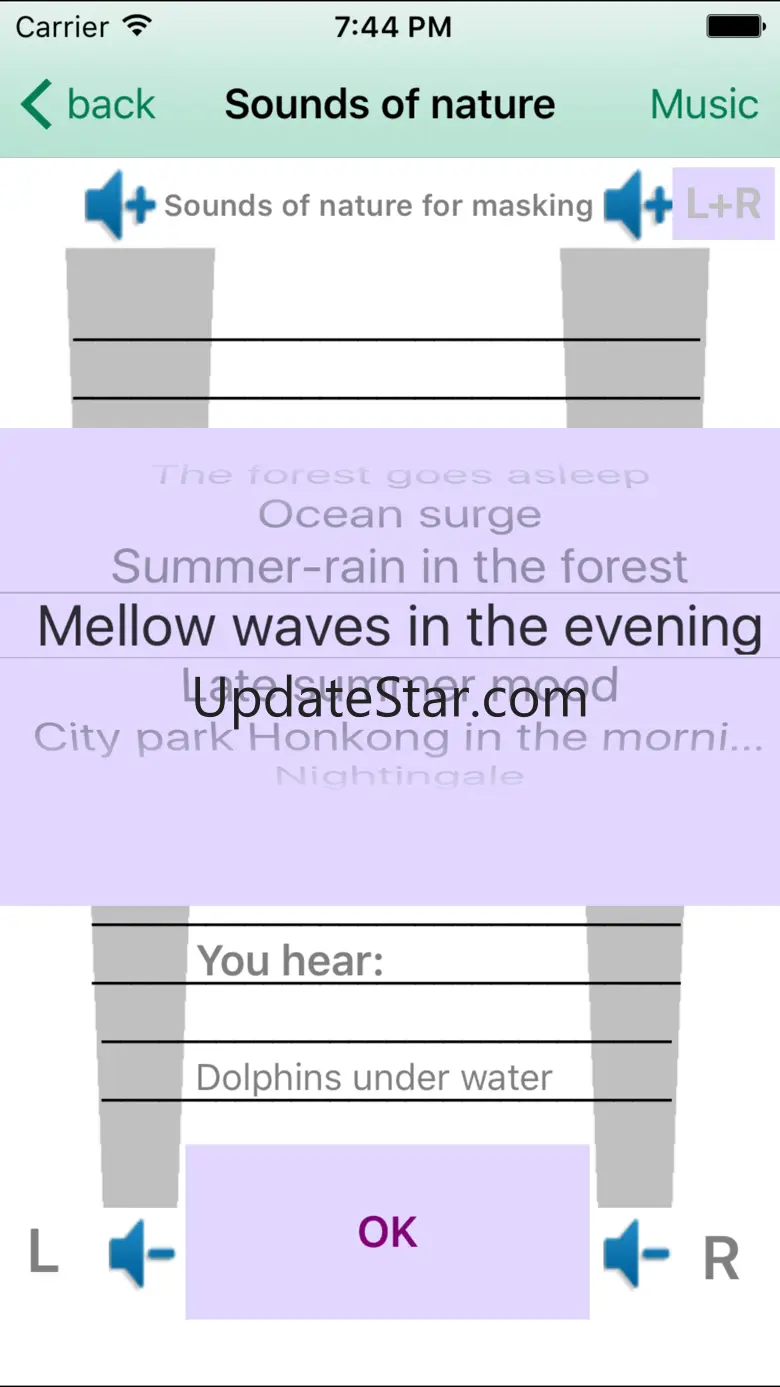 tinnitus help 2.06