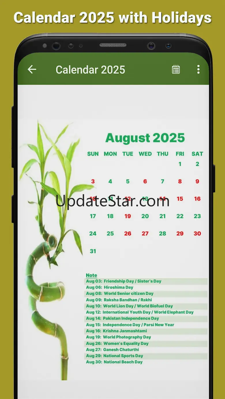 Calendar 2025 with Holidays 22.1