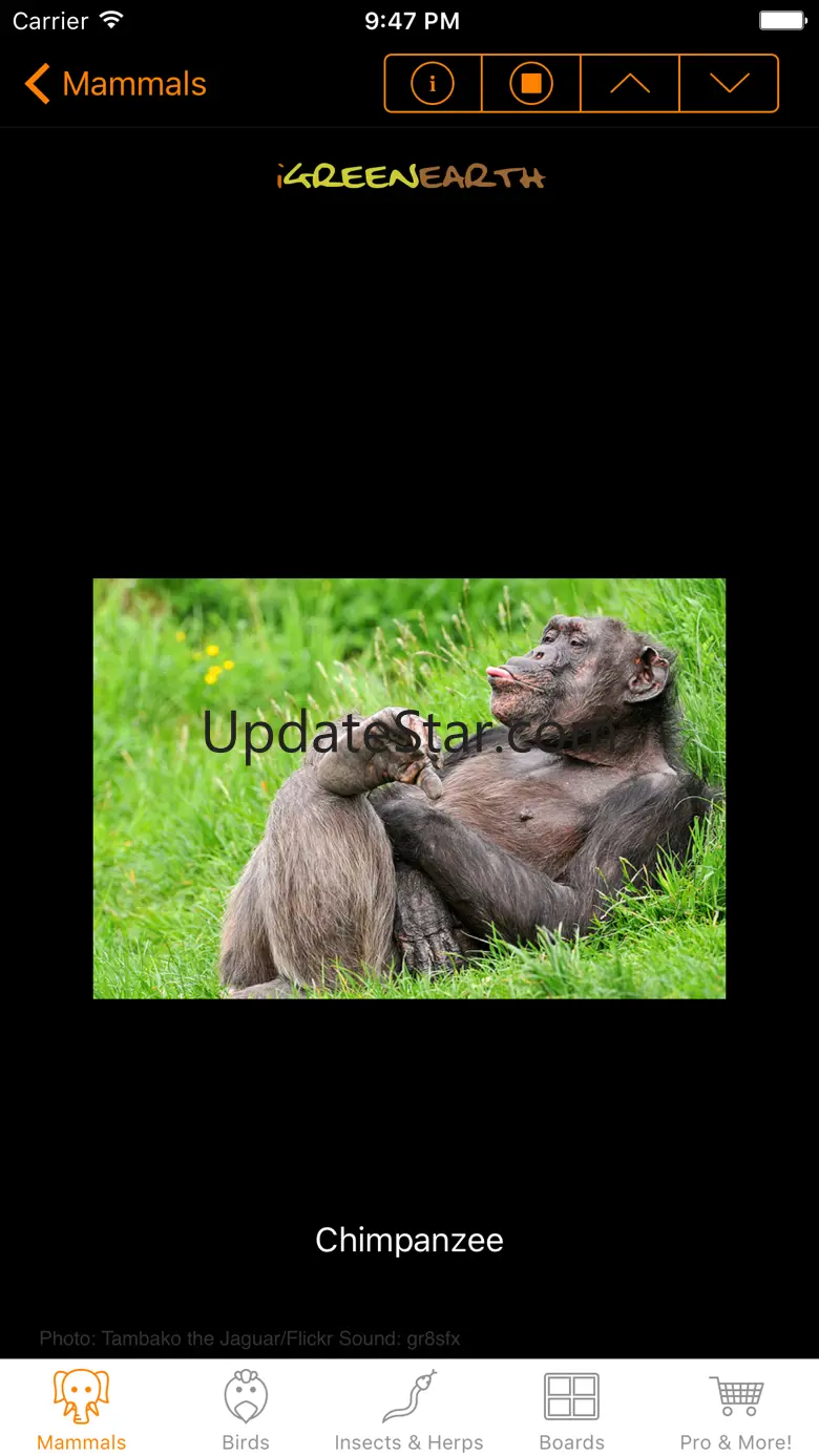 Animal Chatter Pro 1.9.2