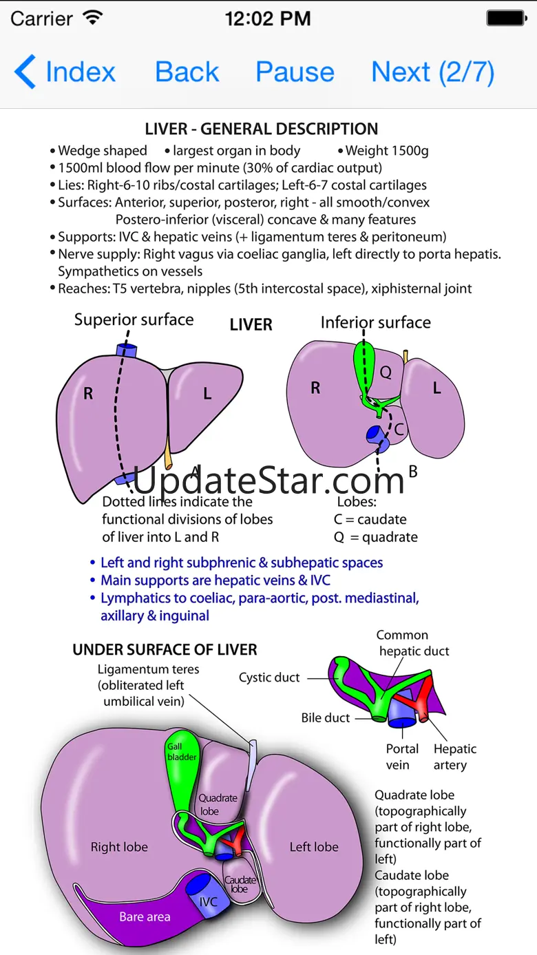 Anatomy Thorax and Abdomen 5.0