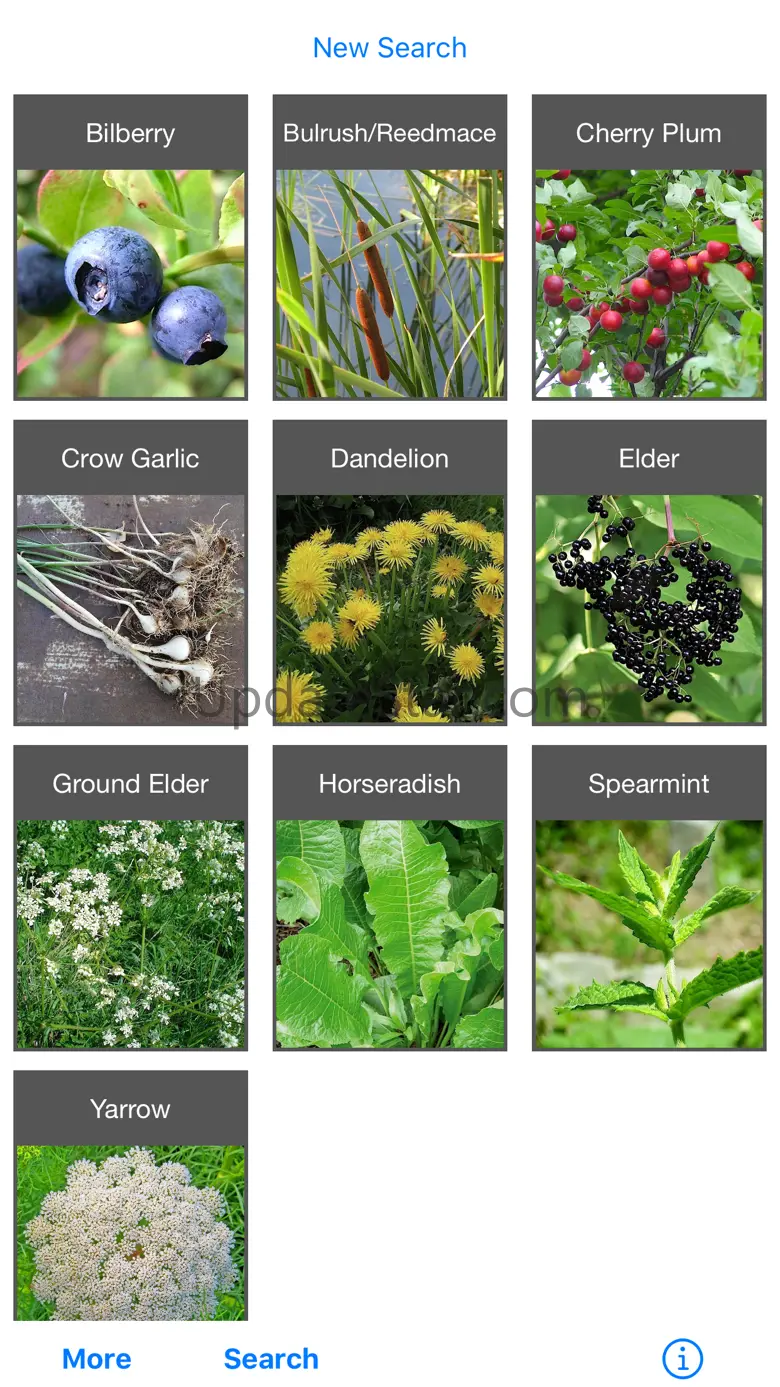 Forage - Wild Free Food 3.0.2