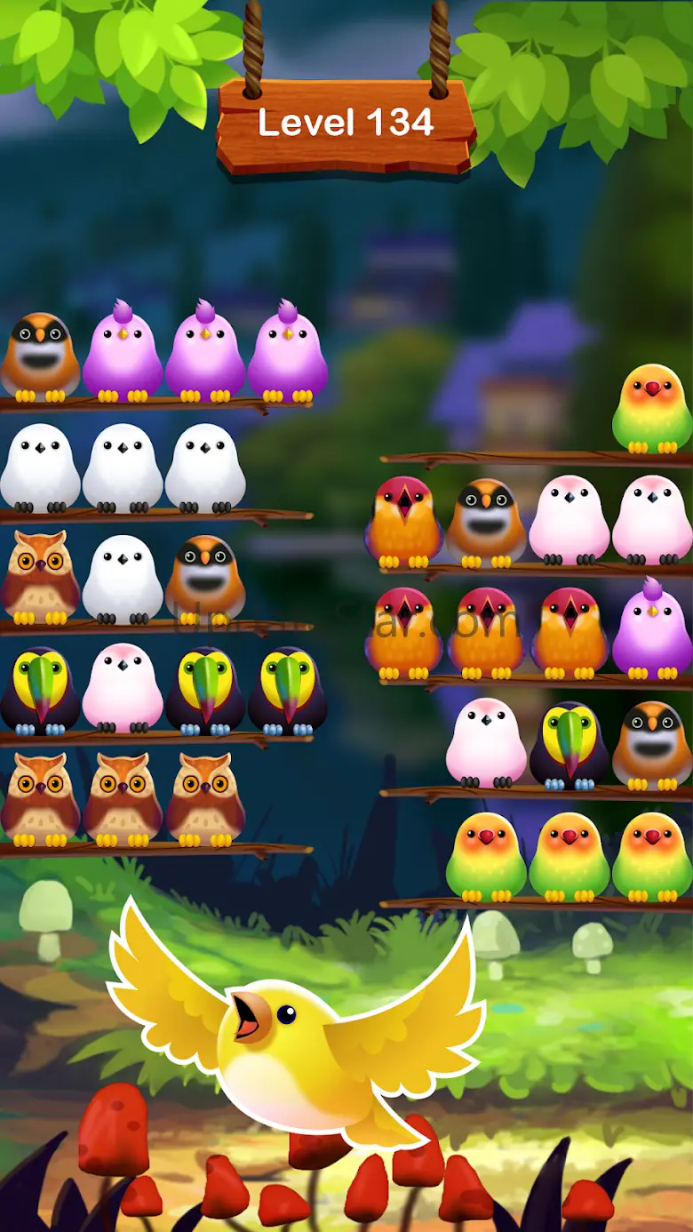 Bird Color Puzzle: Sort Game 1.0.2