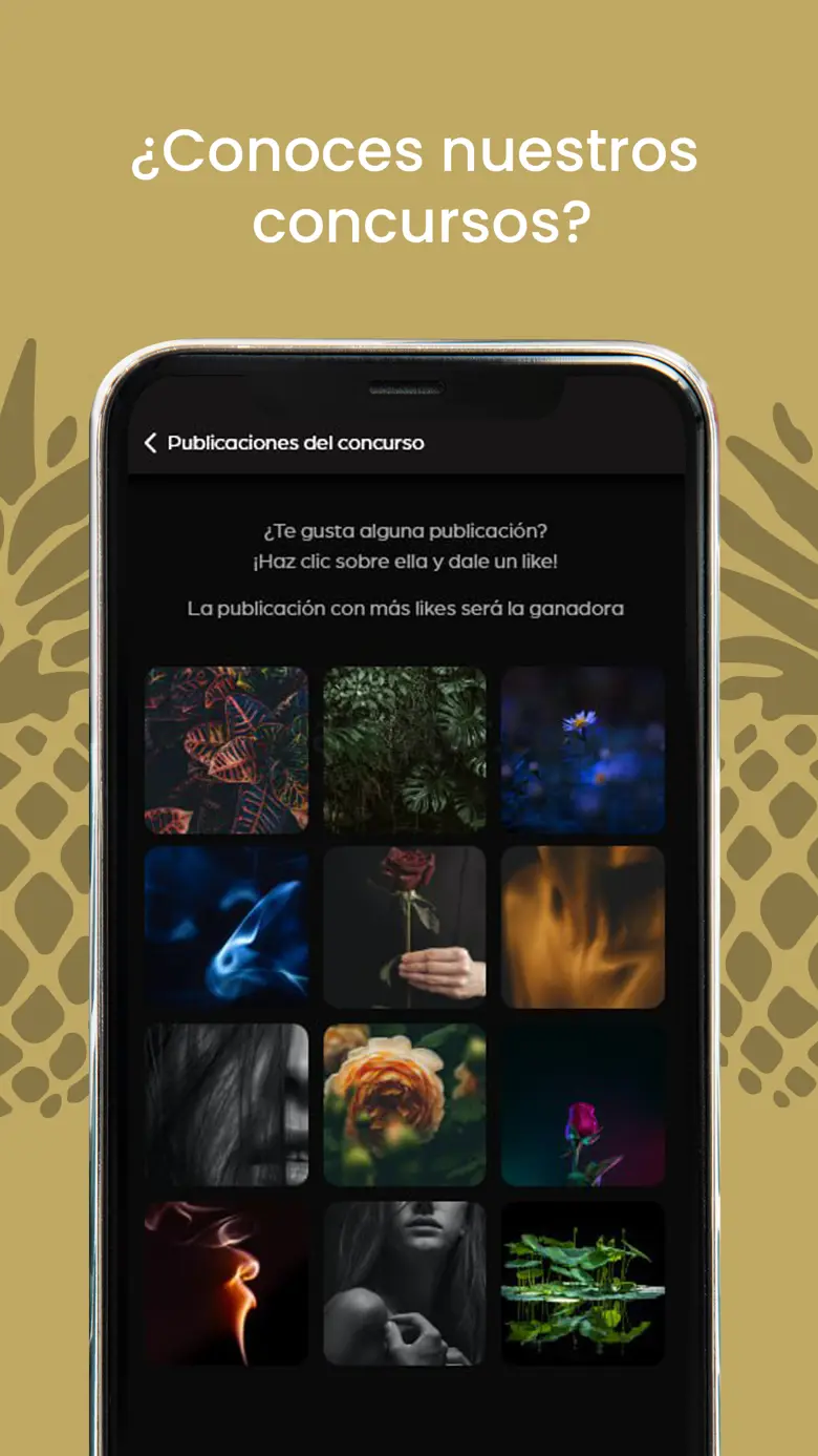 LUXXU app swinger 1.0.25