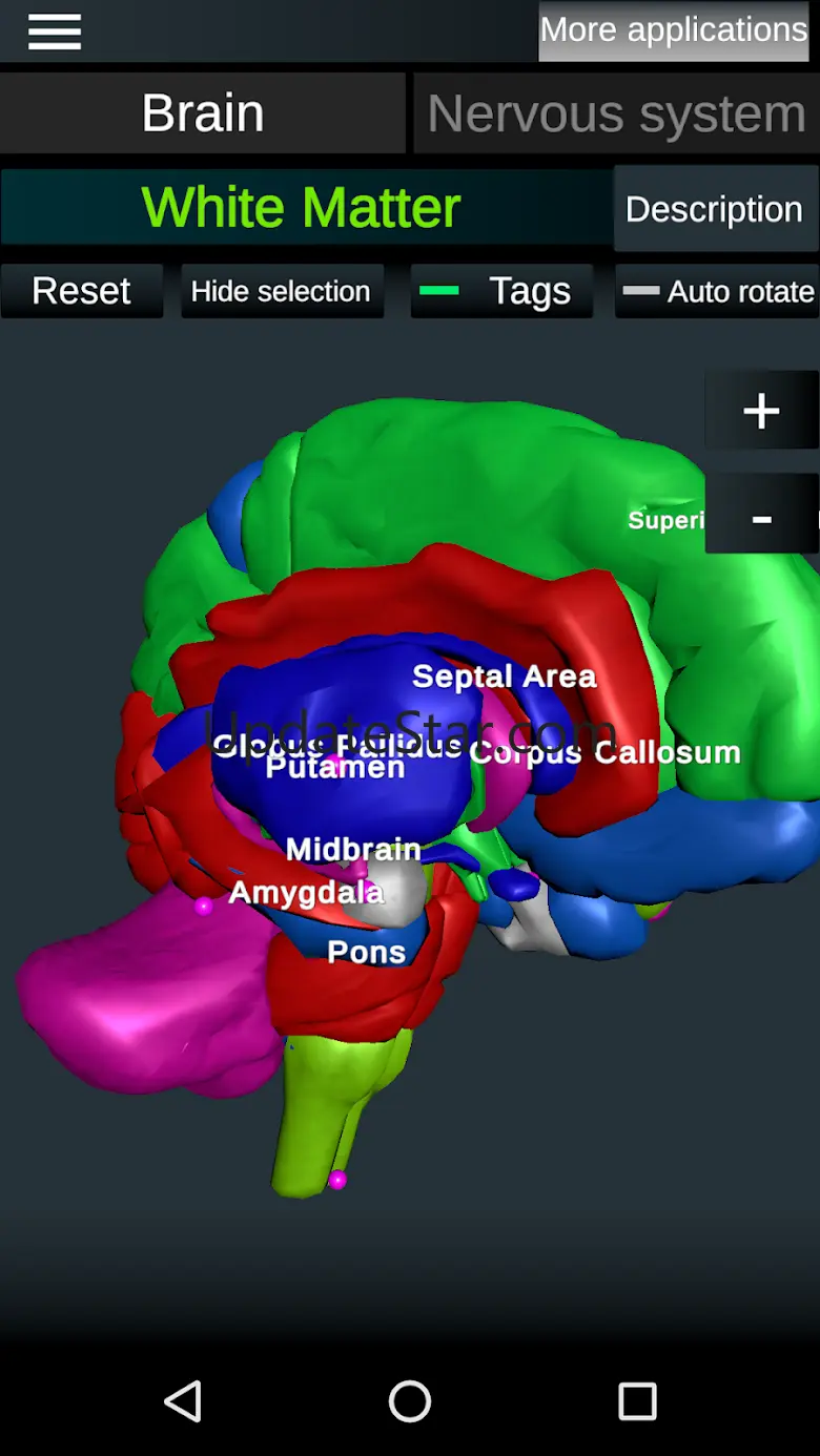 Brain and Nervous System 3D 1.35