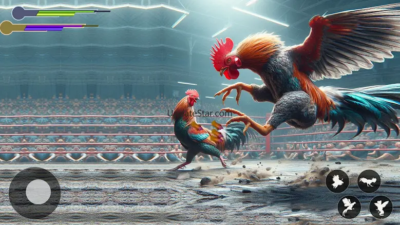 Rooster Fighting Kung Fu Games 1.07