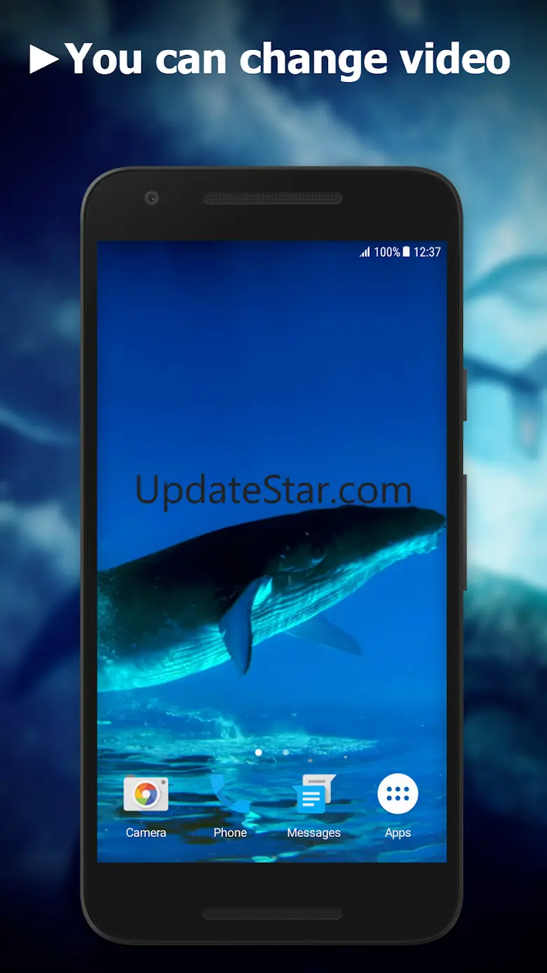 Blue Whale Video Wallpapers 2.0