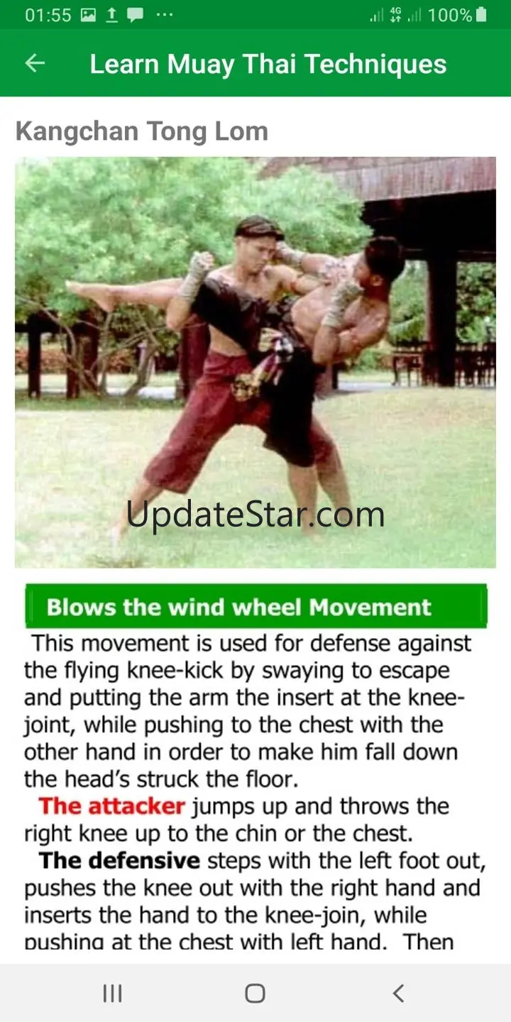 Muay Thai MMA Techniques 33.0.3