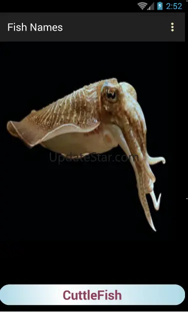 Sea Animals Names 1.4