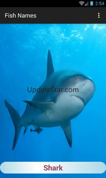 Sea Animals Names 1.4