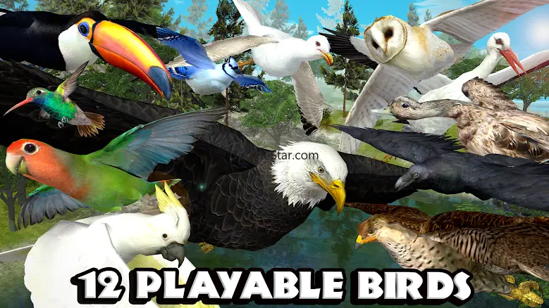 Ultimate Bird Simulator 3.0