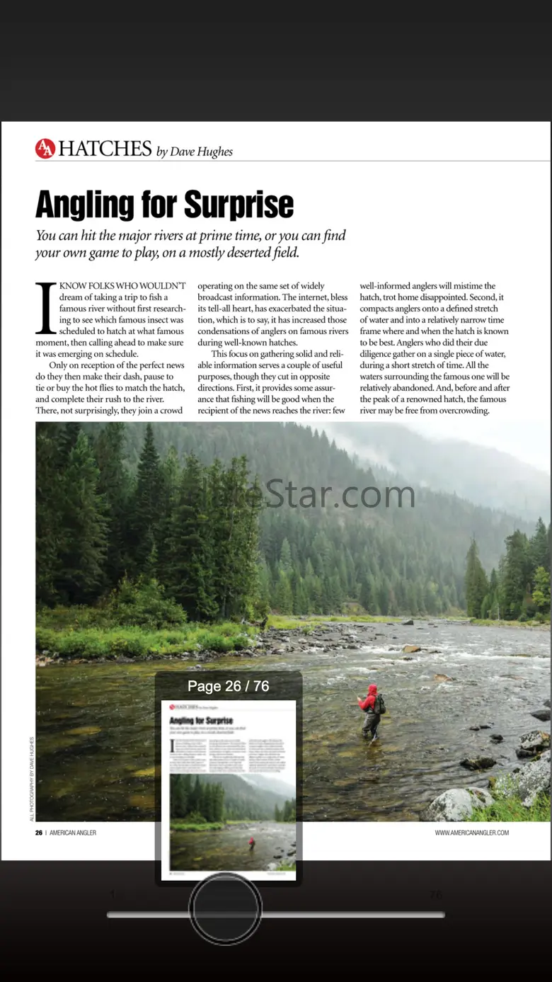 American Angler Magazine 7.0.31
