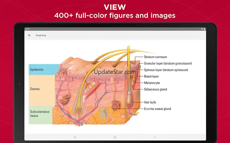 Anatomy & Physiology Made Easy 1.9