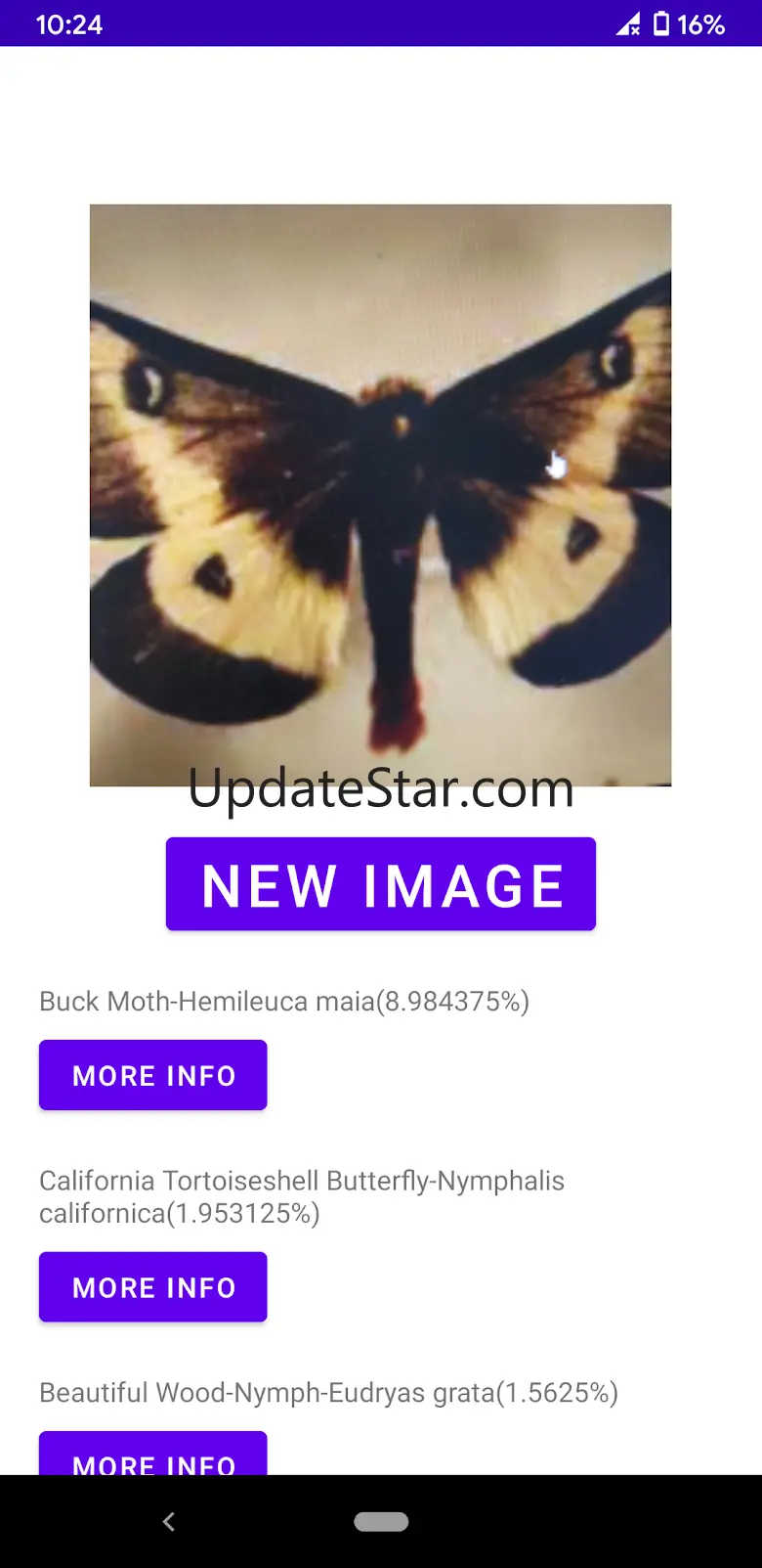 Insect Identifier 1.3.7