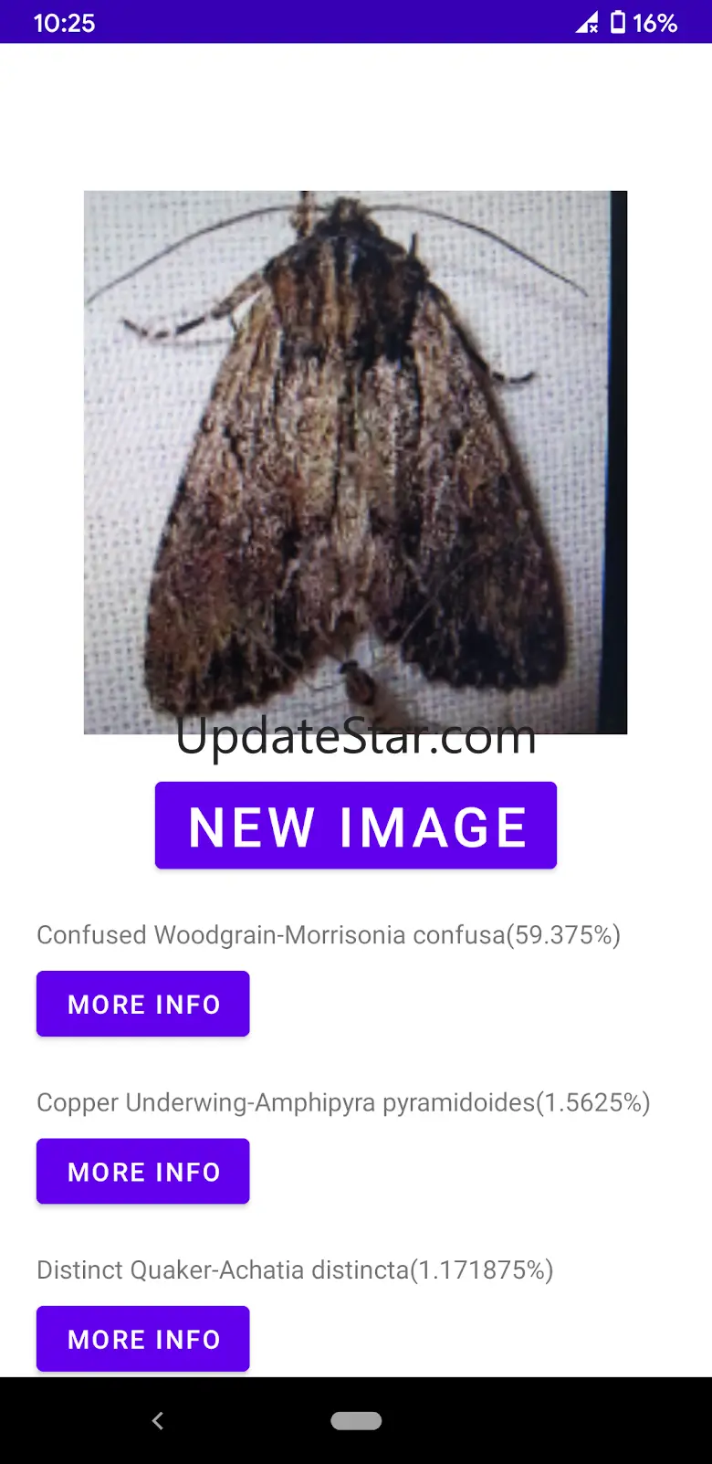 Insect Identifier 1.3.7