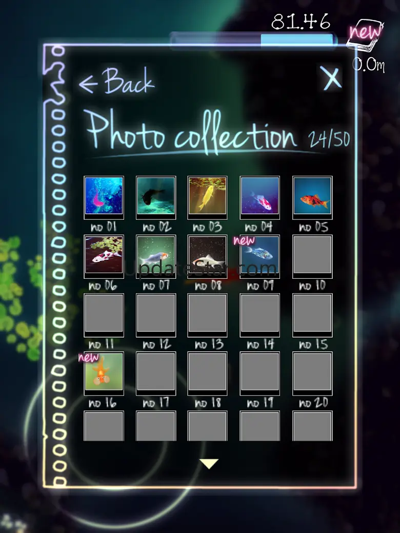 GoldFish -Infinite puddle- 2.3.8