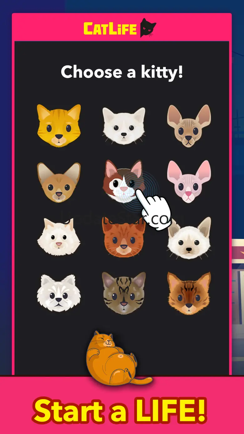 BitLife Cats - CatLife 1.8.5