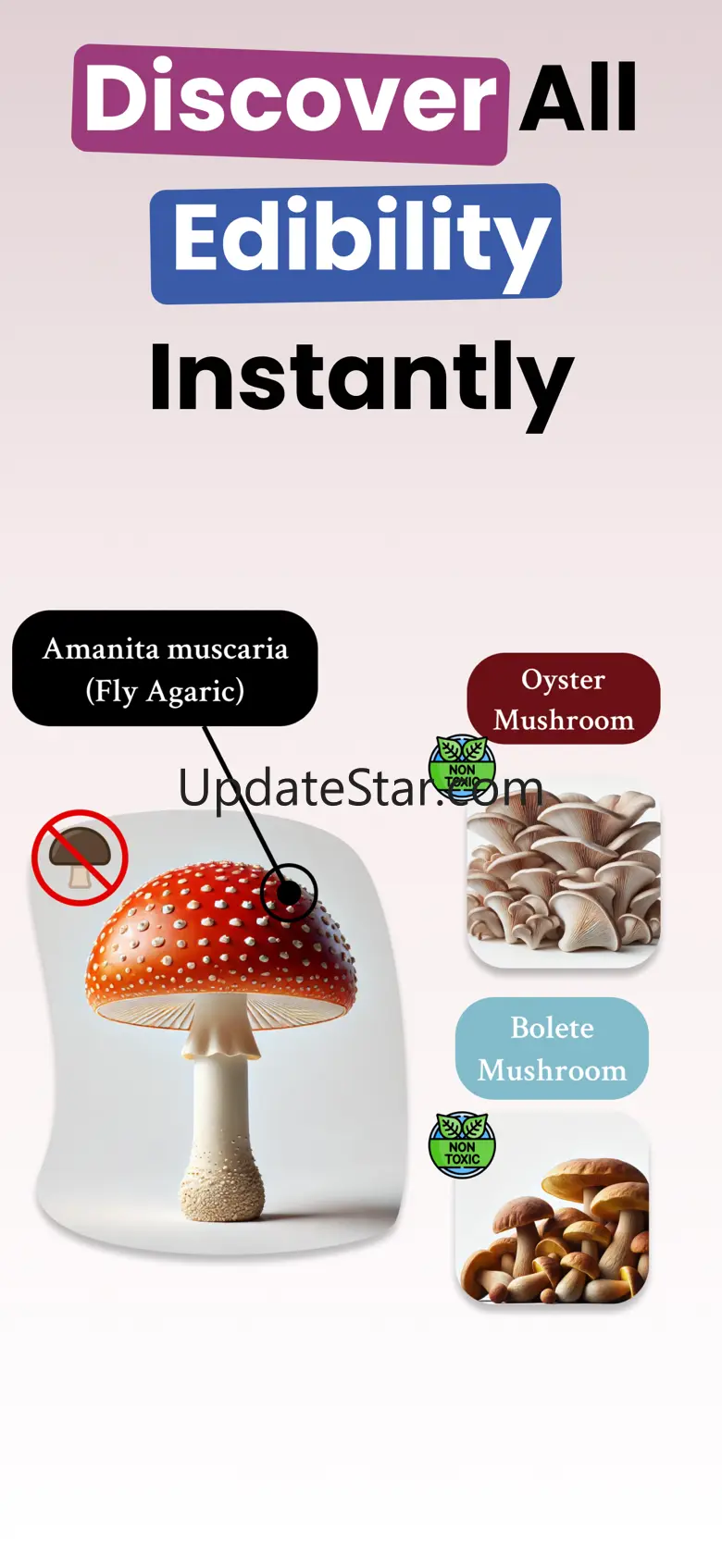 Mushroom Identifier- Fungus ID 1.0.1