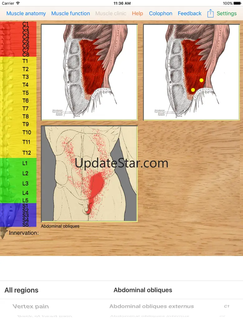 Dry Needling Pro 7