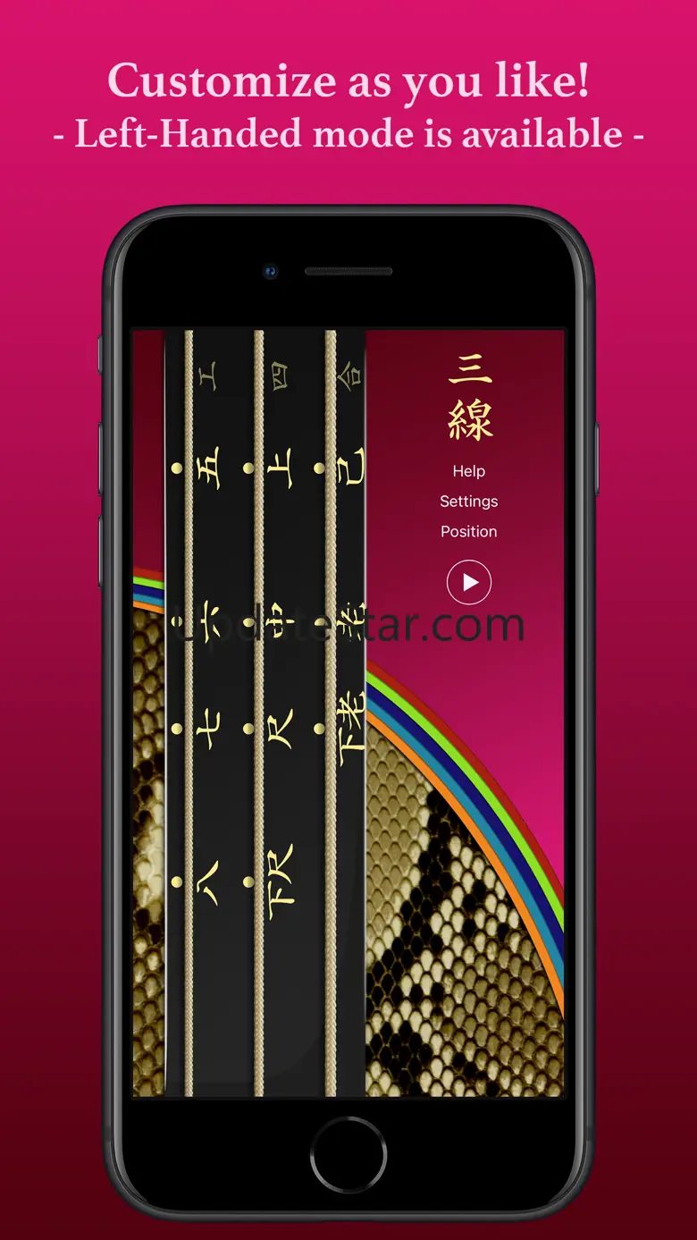 Sanshin 2.5
