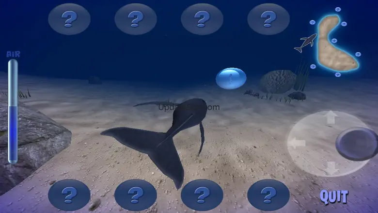 Humpback Whale 1.9